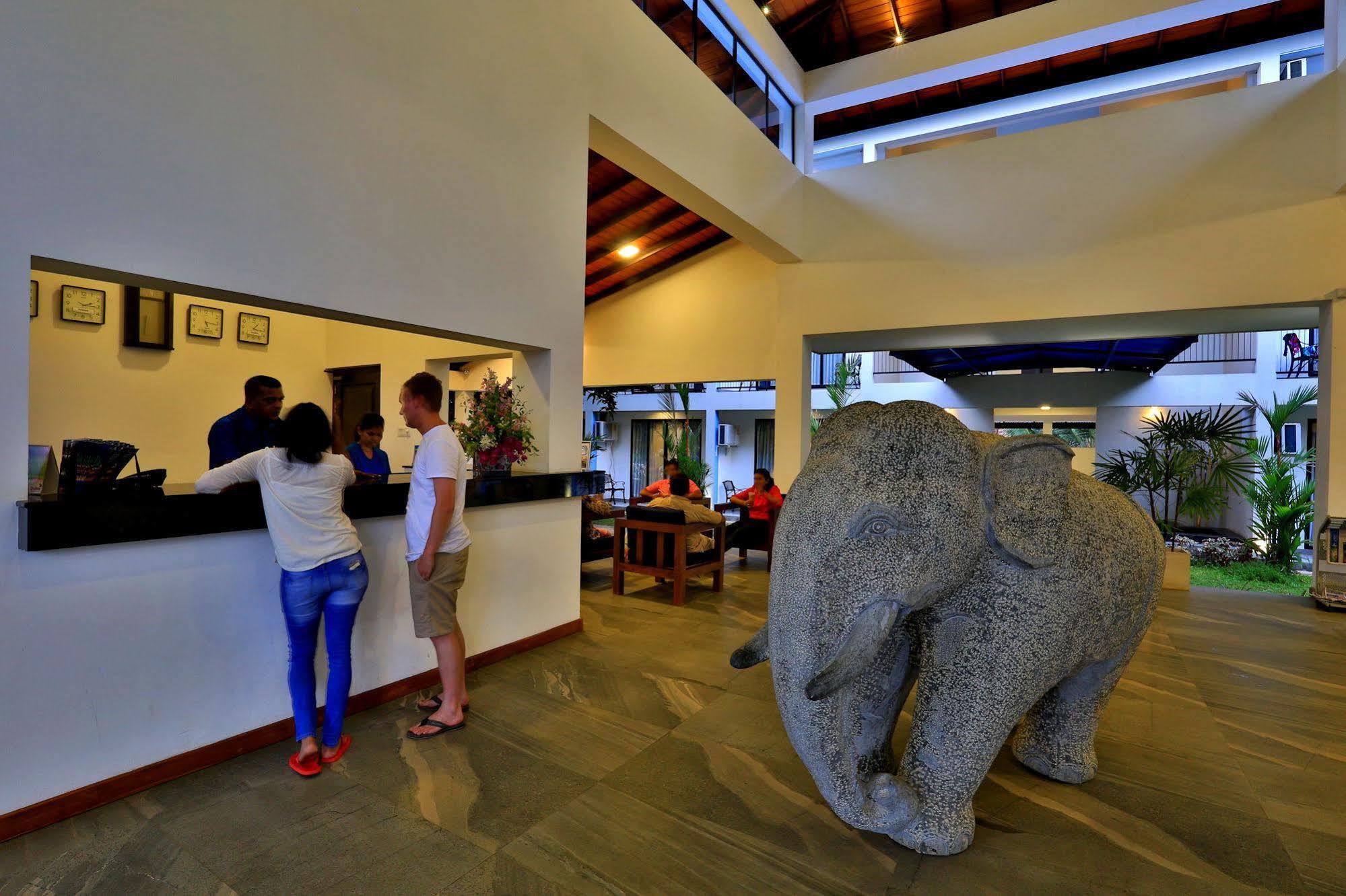 The Blue Wave Hotel Arugam Bay Exterior foto